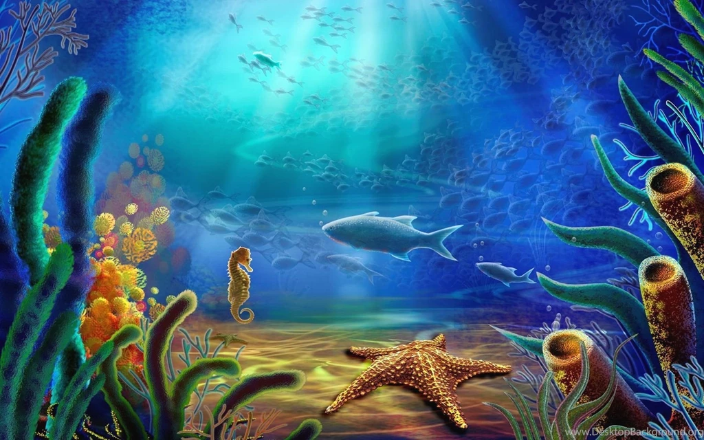 Ocean Life HD Images Fish Wallpapers Hd For Desktop ...