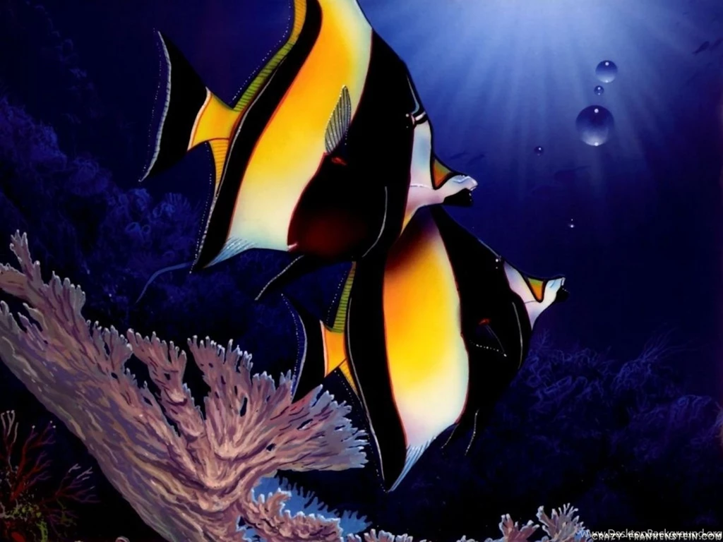 Angelfish Computer Wallpapers, Desktop Backgrounds