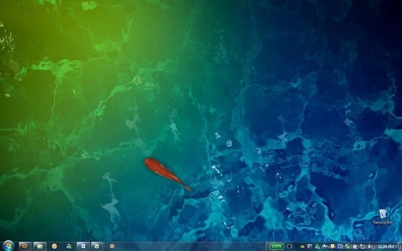 Animated Fish Desktop Wallpapers