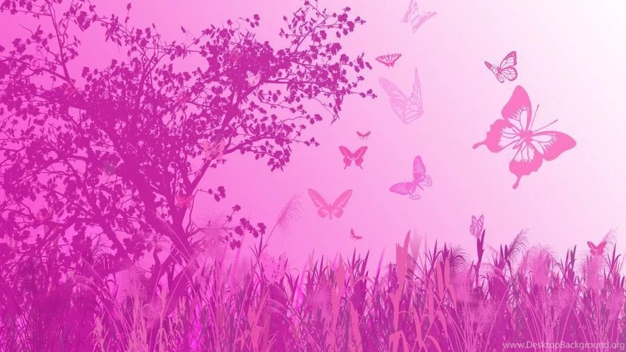Top Pink Butterflies Wallpaper Images For Pinterest