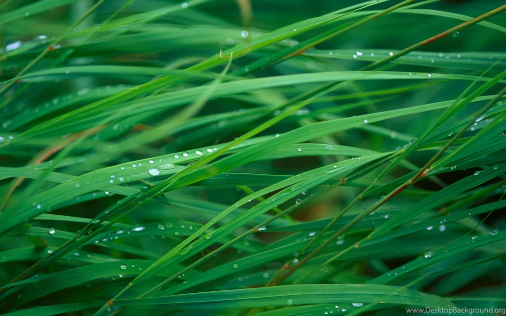 Macbook Air HD Wallpapers (46)