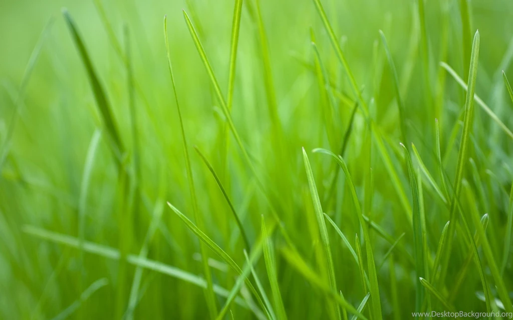 Green Music Backgrounds Wallpapers 81013