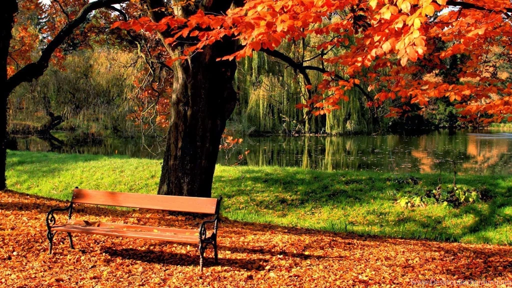 Beautiful Wallpaper: Full HD 1080p Wallpapers And Background Images