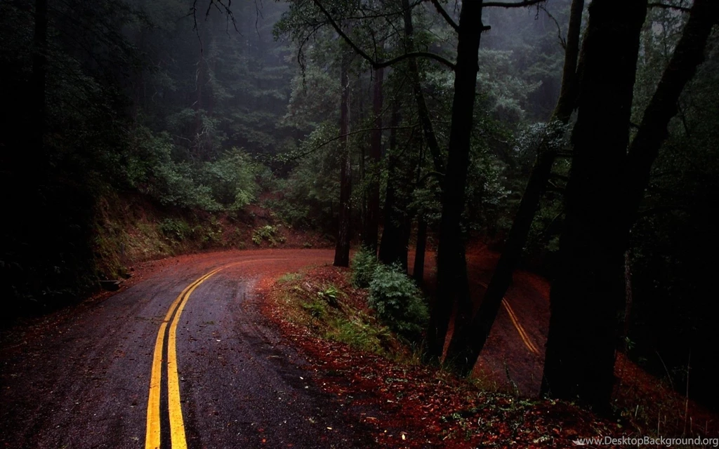 Latest hd wallpapers of nature 4.jpg