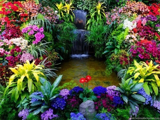 Beautiful HD Nature Wallpapers For Desktop 2013 2014 10.jpg