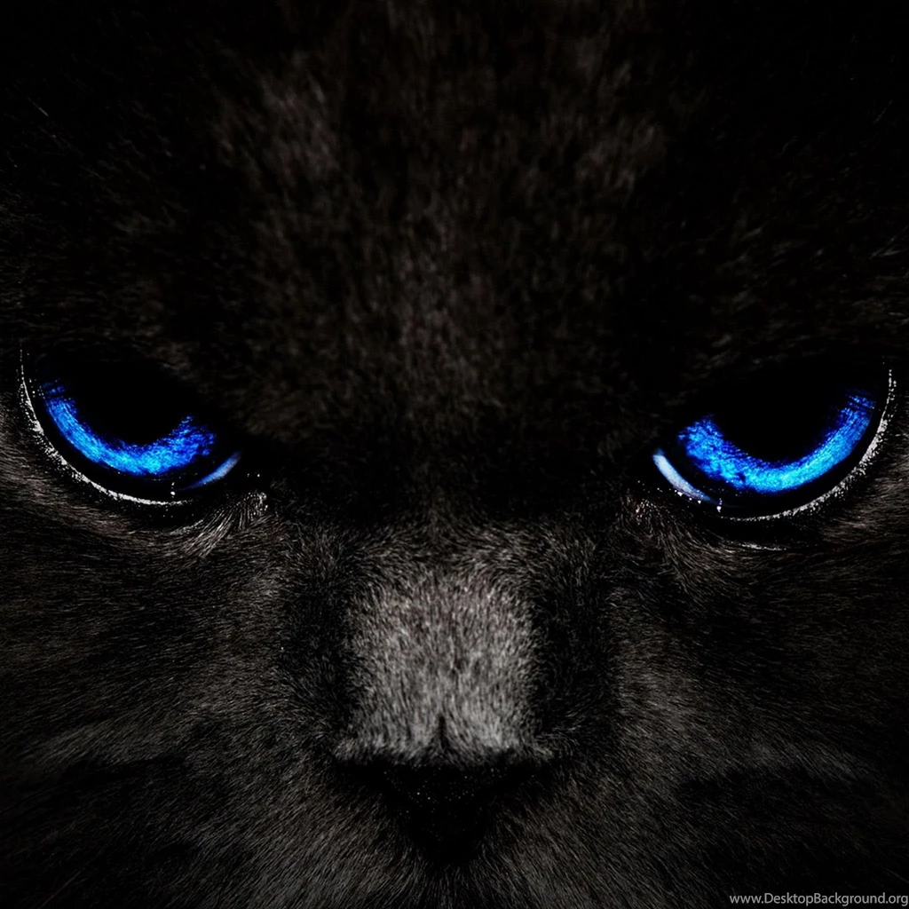 Ipad Hd Quality Desktop Backgrounds Image Free High Quality ...