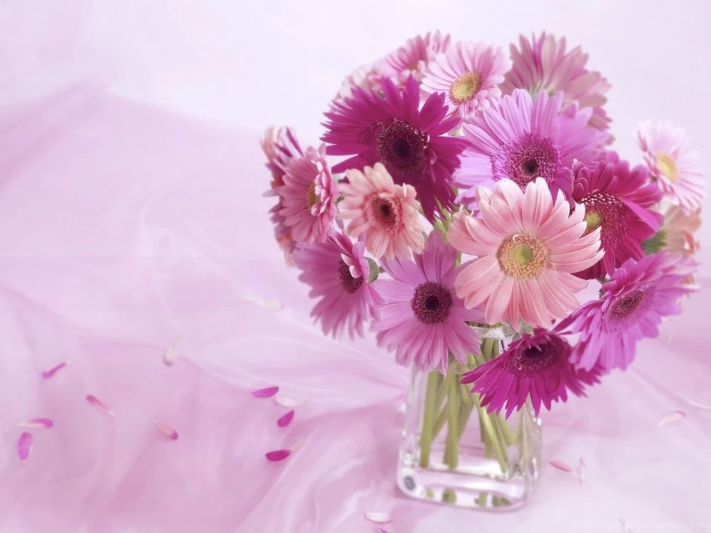Digital High Defination 3D: HD Flower Wallpapers 1080p