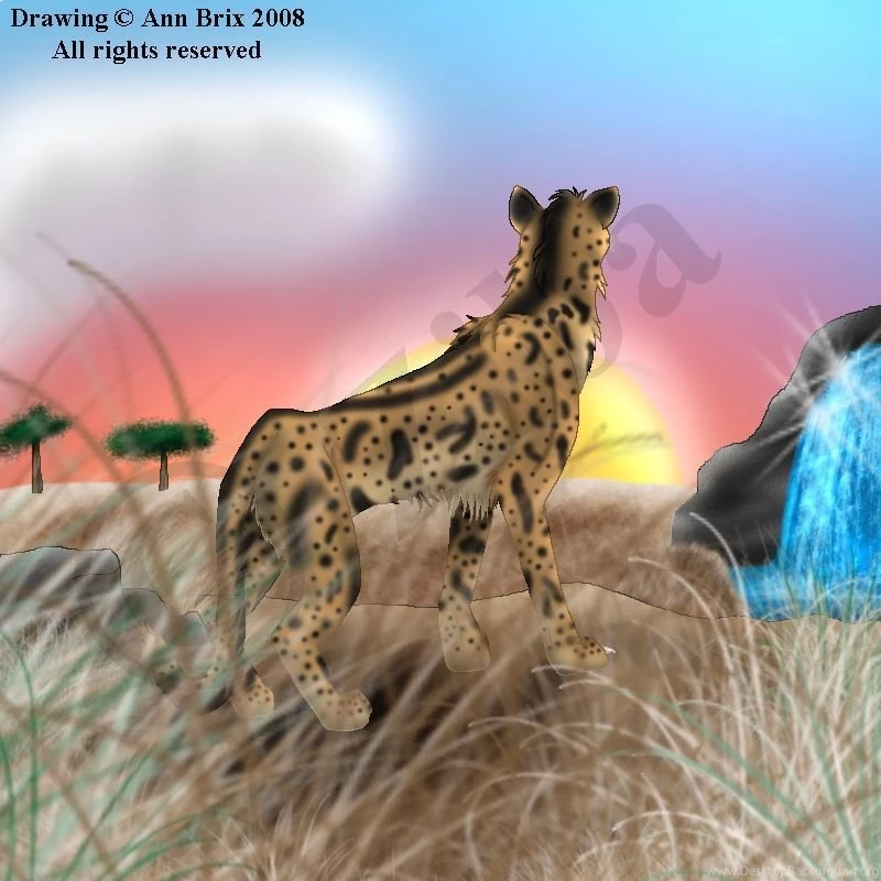 King Cheetah By Ziba On DeviantArt