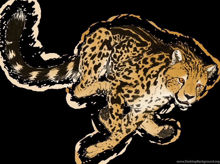 King Cheetah In Flight By Veggie Raptor On DeviantArt