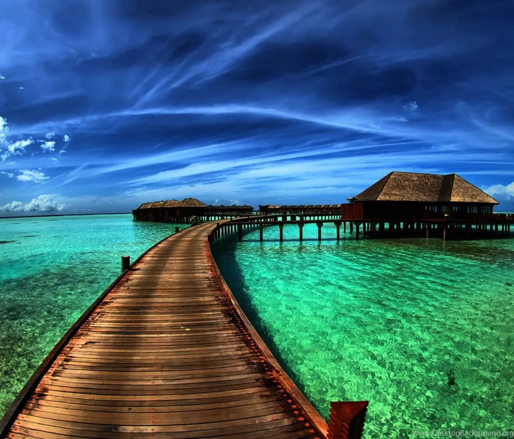 Tab Wallpapers Free Download Wallpapers Animal Hd