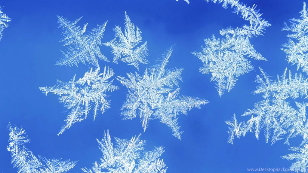 Top Snowflake Picture Wallpaper Images For Pinterest