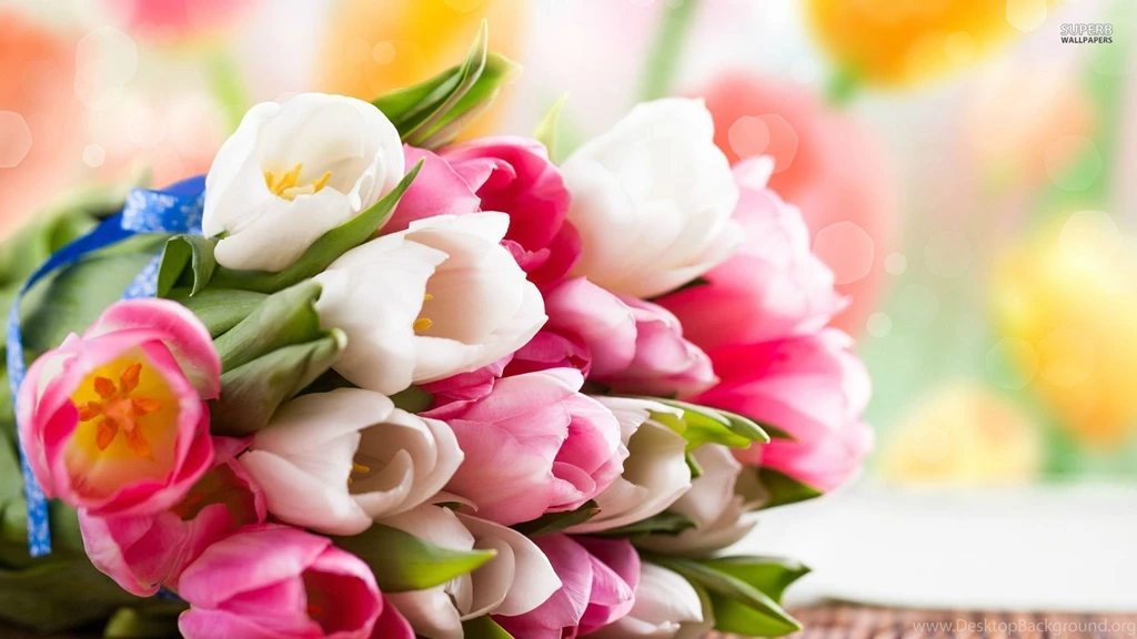 Nice Pink Flower HD Desktop Mobile Wallpaper Backgrounds