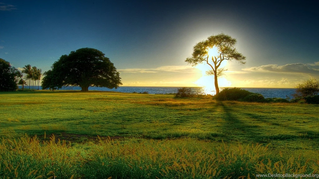 Wallpapers Nature HD