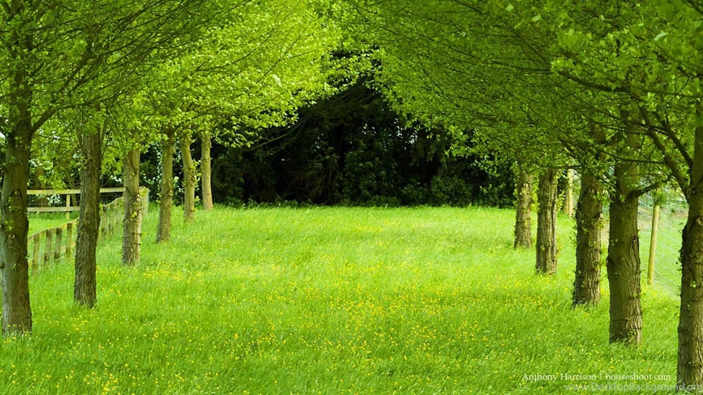HD Wallpapers 1080p Widescreen Nature Free Download For Desktop Hd ...