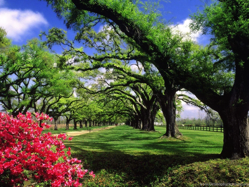 Beautiful Nature Wallpaper 2.jpg