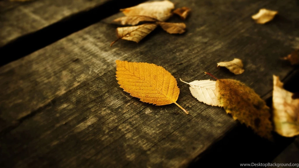 Desktop Full HD Wallpapers CuteWallpaper.org