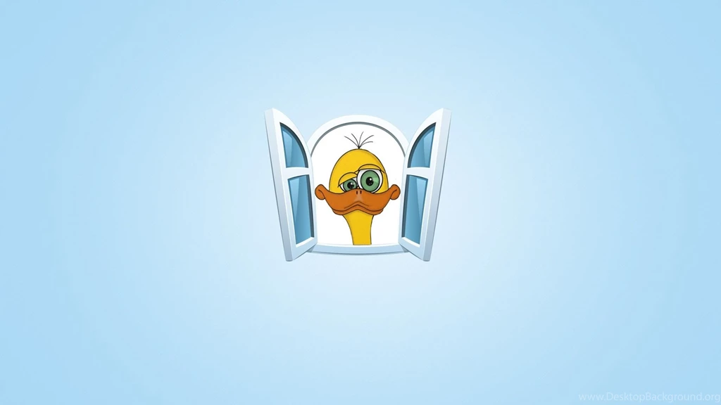 Full HD 1080p Duck Wallpapers HD, Desktop Backgrounds 1920x1080