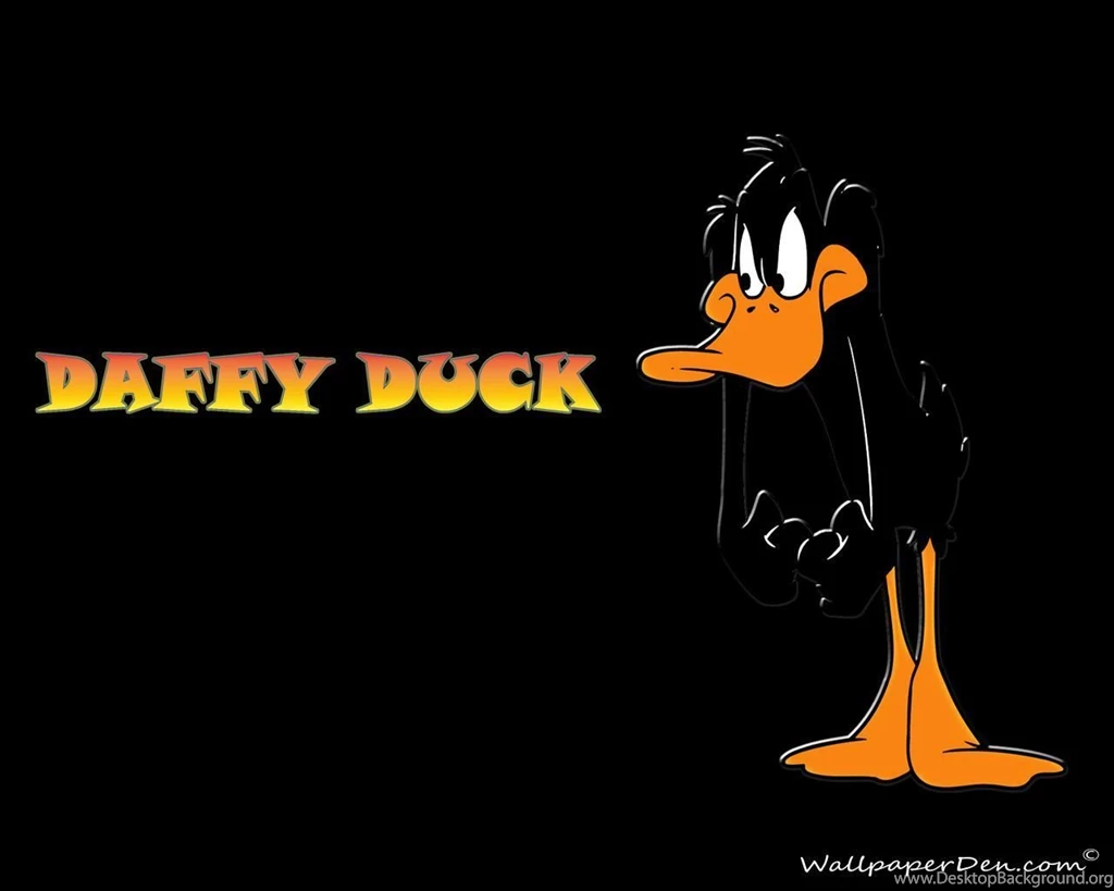 Daffy Duck Computer Wallpapers, Desktop Backgrounds