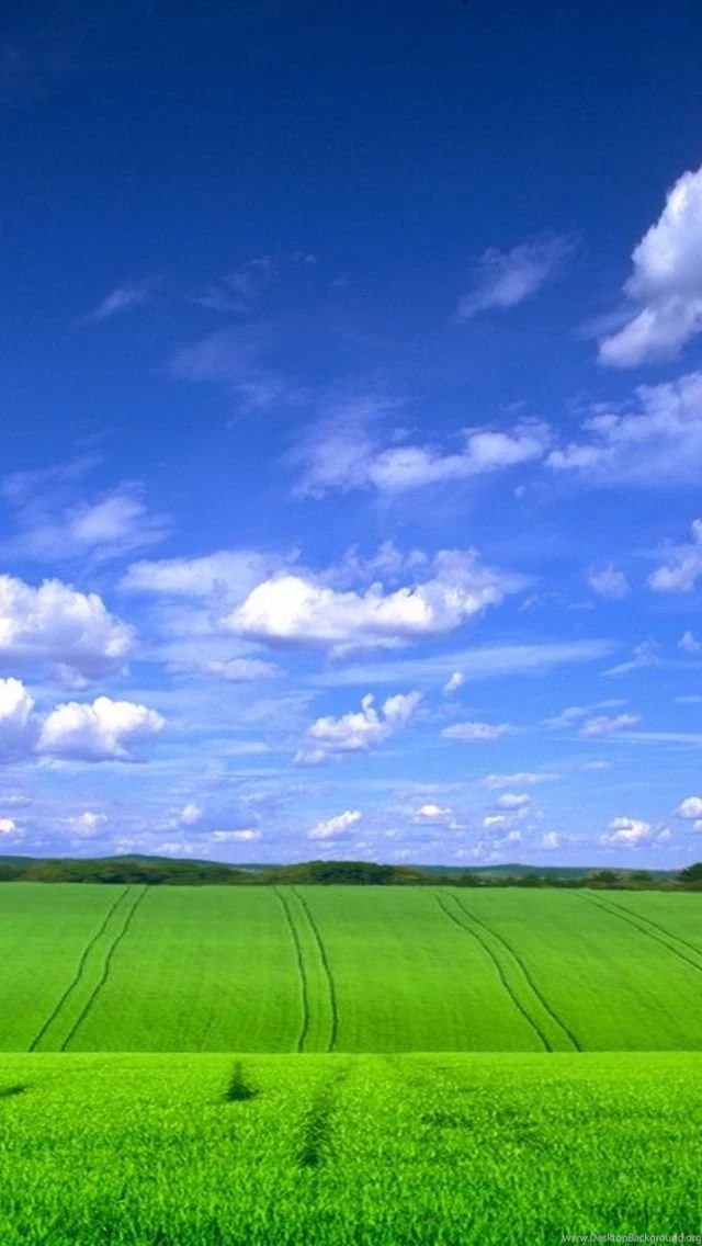 640x1136 Longhorn Field 1 Iphone 5 Wallpapers