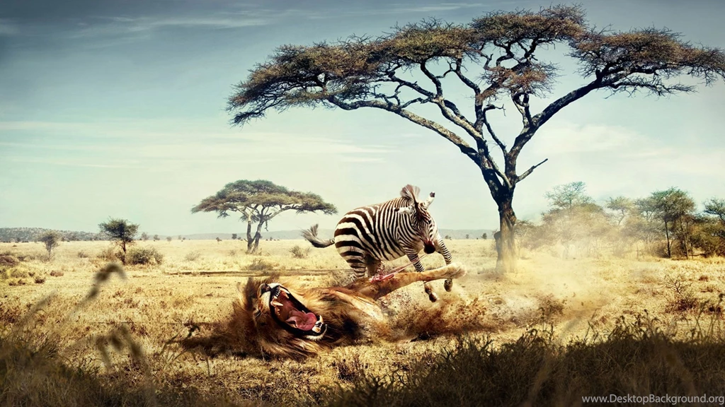 Surreal Hd Wallpapers Desktop Background