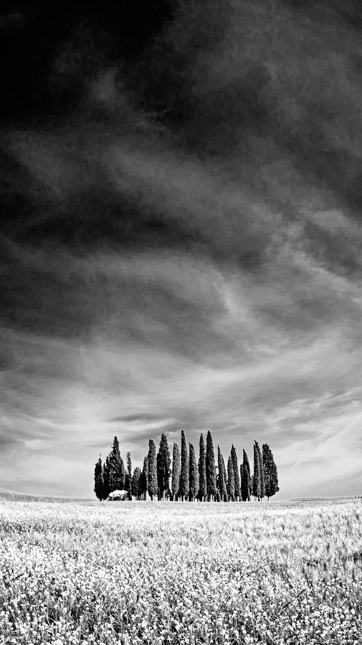 720x1280 Android Live Wallpapers, Android Wallpapers, Android ...