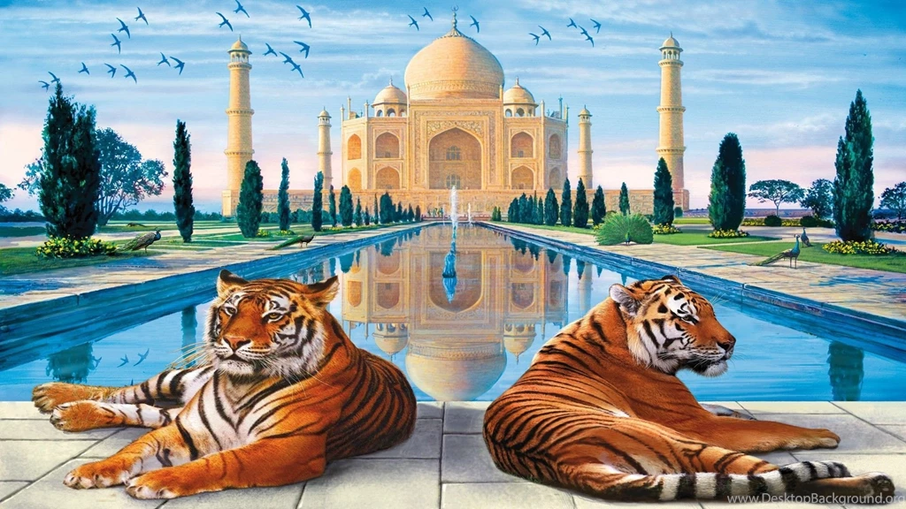Taj Mahal Tigers Peacocks India Swallows Art Painting Pond Other ...