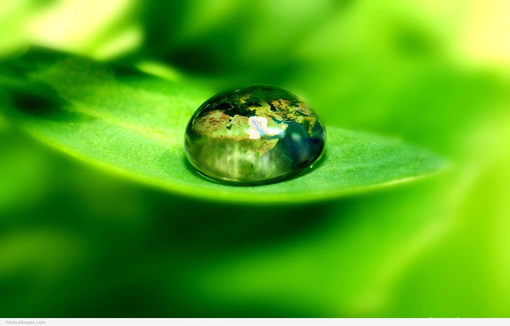 Absolutely Beautiful Nature Images For Your Desktop