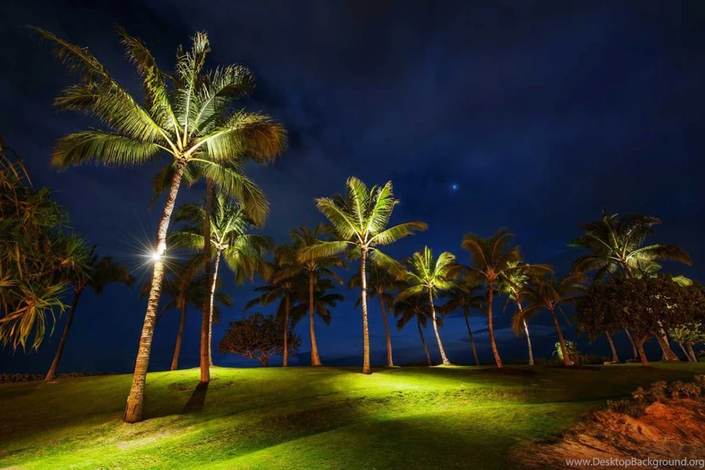 Beautiful Night Natural Image Desktop Wallpapers Image Free ...