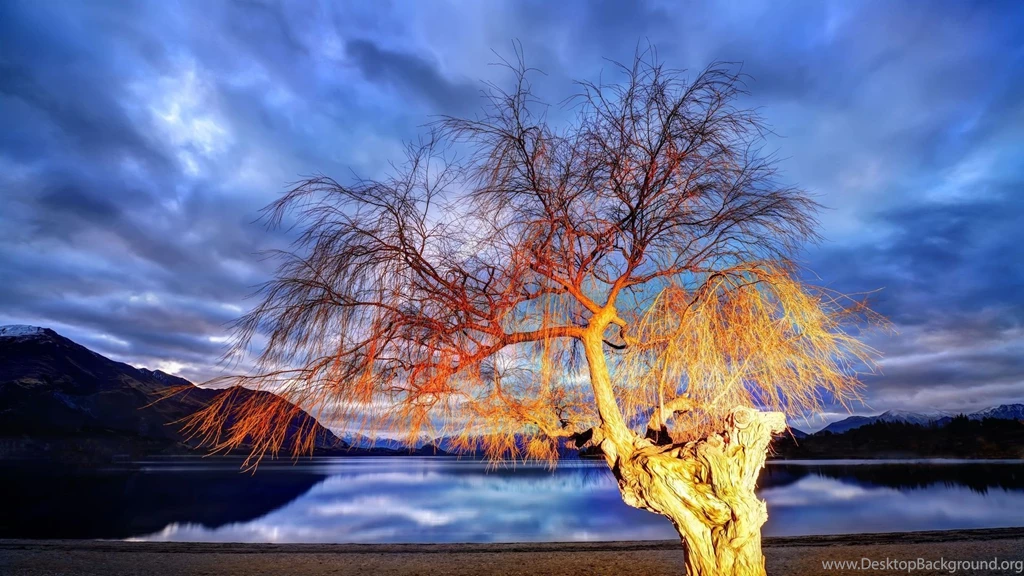 Desktop Wallpapers New HD Wallpapers Desktop Wallpapers ...