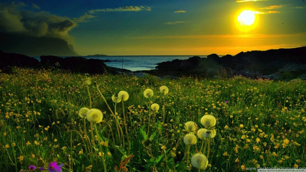 Beautiful Nature Nature Wallpapers