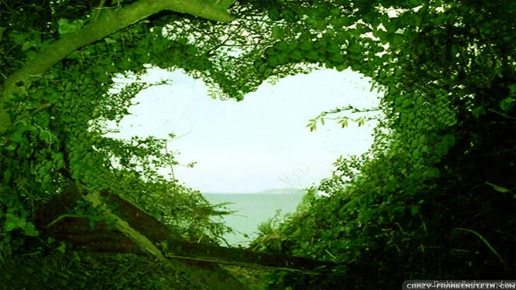 Love Nature Wallpapers Crazy Frankenstein