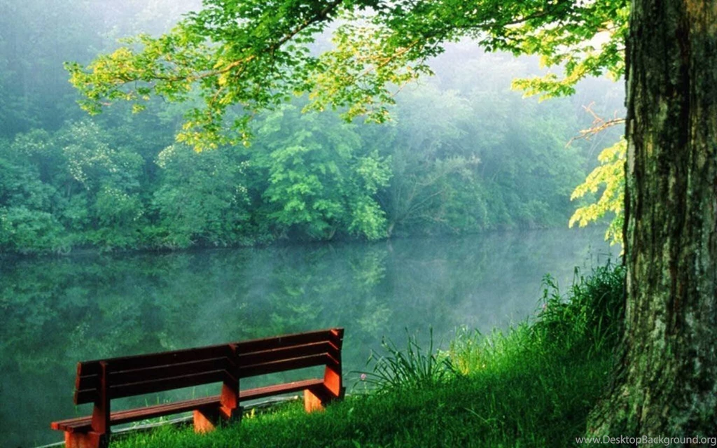 Beautiful Nature Wallpapers 1366x768