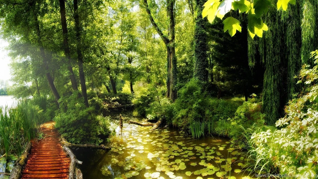 Nature: Beautiful Nature Corner, Picture Nr. 60882