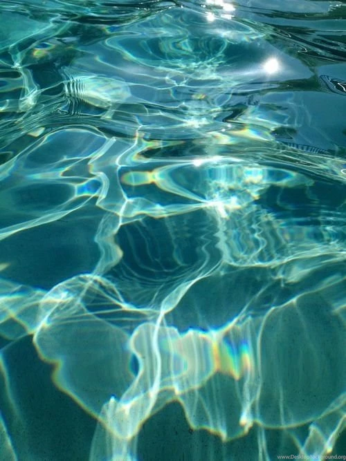 Flowers, Green, Hipster, Indie, Iphone Wallpaper, Lake, Light ...