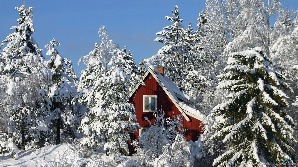Download Wallpapers House In The Winter Forest, Switzerland (1920 X ...