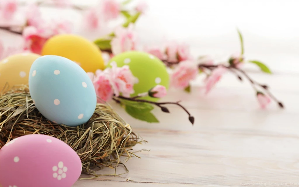 Top Hd Easter Flowers Images For Pinterest
