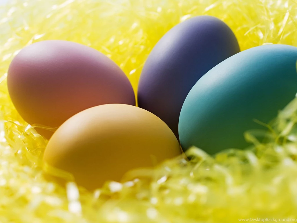 HD Bunnies And Easter Wallpapers Desktop Backgrounds