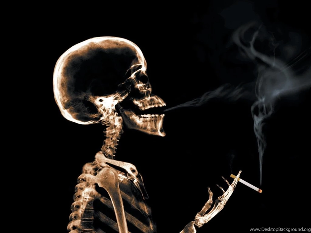 Skeleton Computer Wallpapers, Desktop Backgrounds