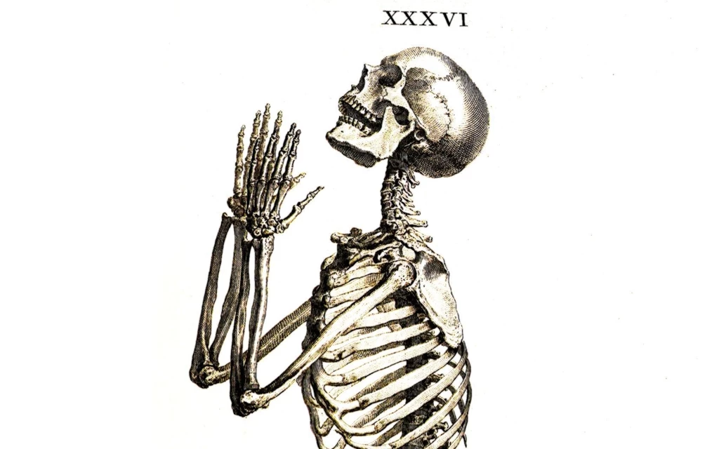 Skeleton Computer Wallpapers, Desktop Backgrounds