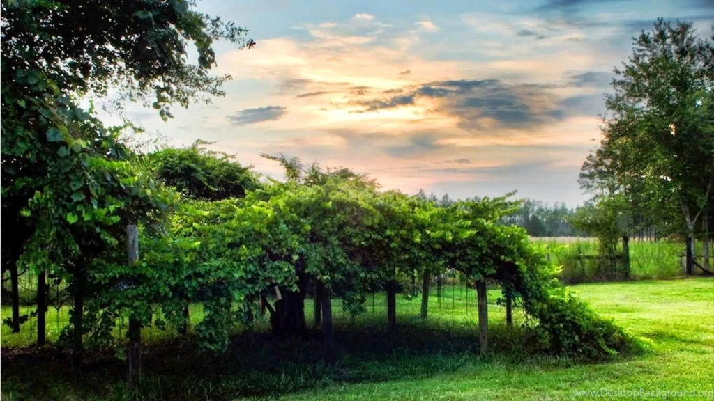 Desktop Wallpapers 1366x768