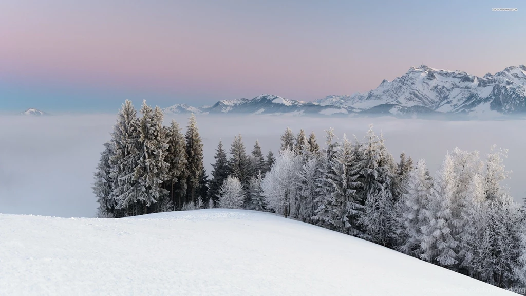 Foggy Winter Day In The Mountains Wallpapers