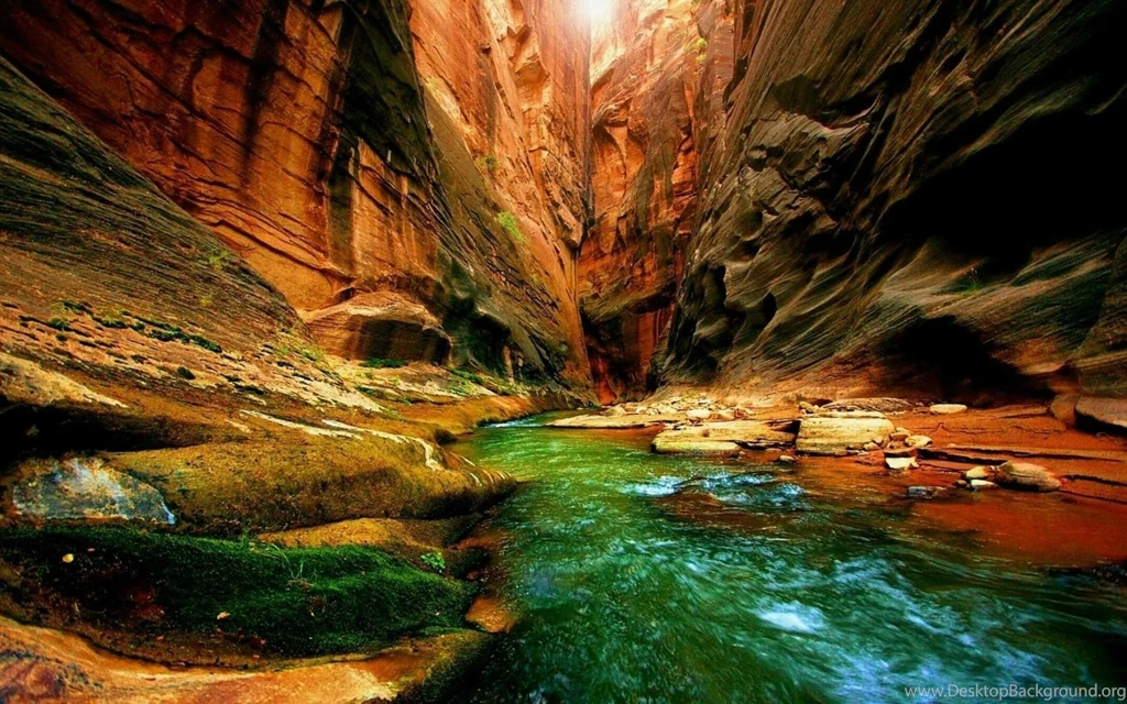 Nature