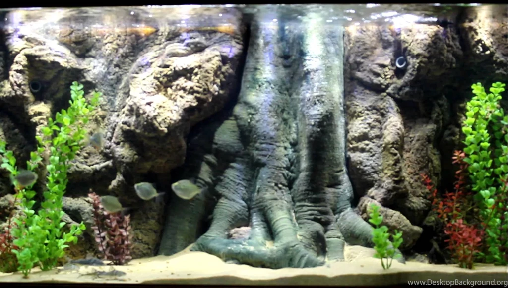 Aquarium With 3D Backgrounds Installed YouTube