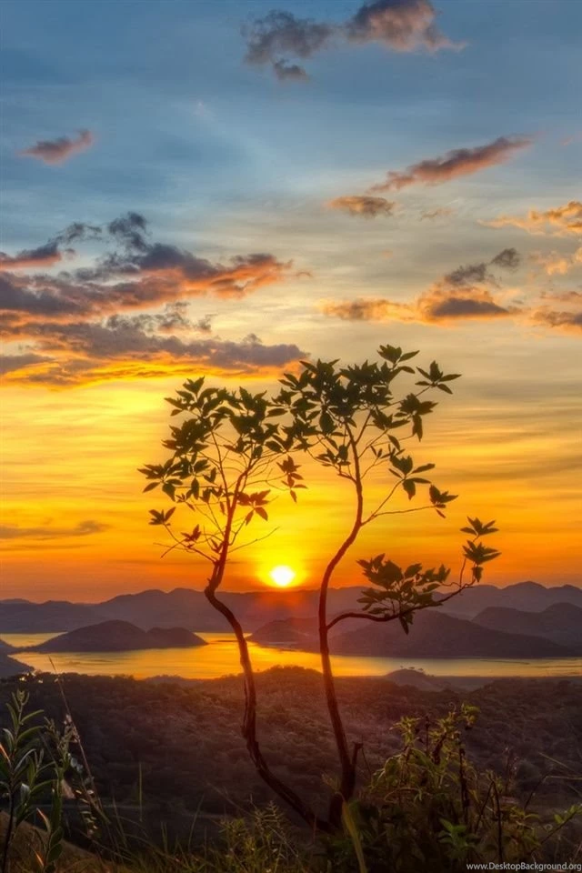 Nature, Mountains, Lake, Tree, Sun, Morning iPhone Wallpapers ...