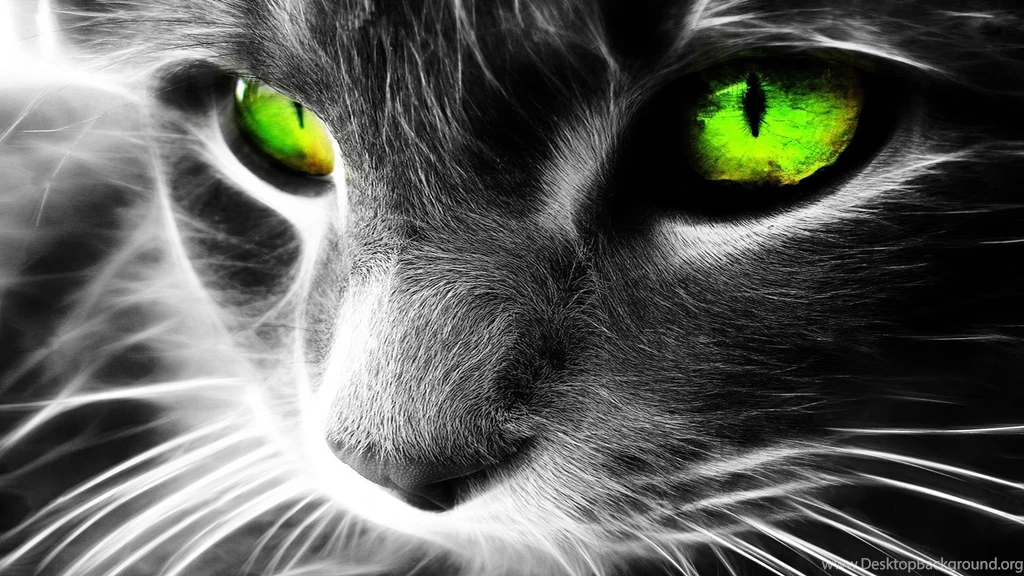 High Resolution Cool 3D Animal Backgrounds Wallpapers HD 12 Full ...