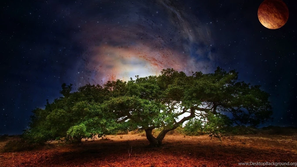 Creative Design, Tree Galaxy Planet Wallpapers