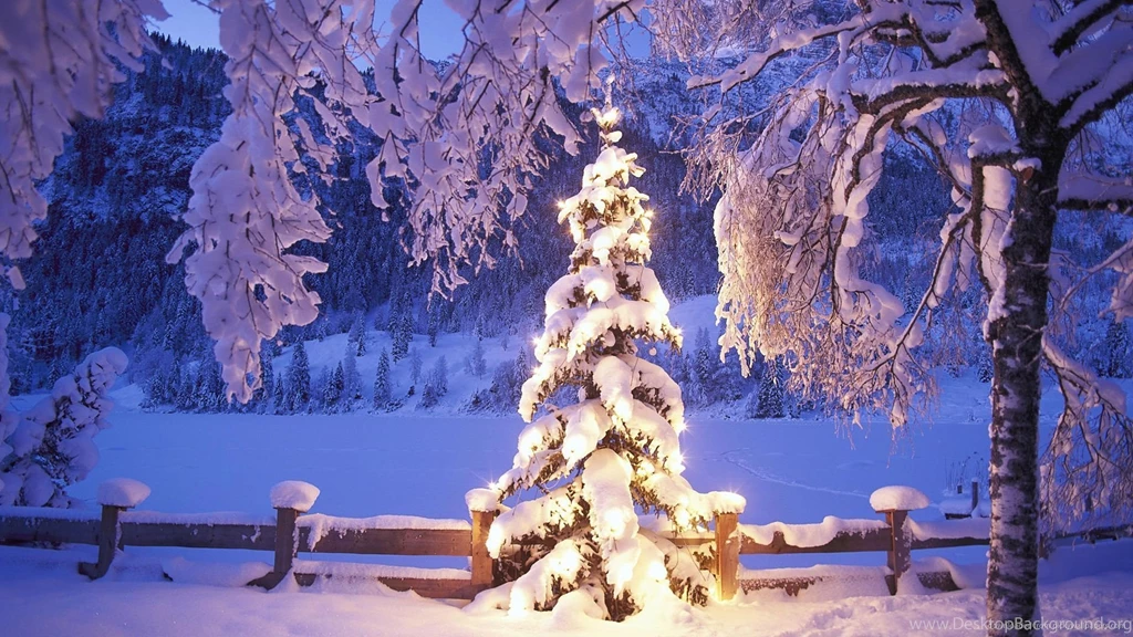 Download 1920x1080 Natural Christmas Tree In Snow Wallpapers