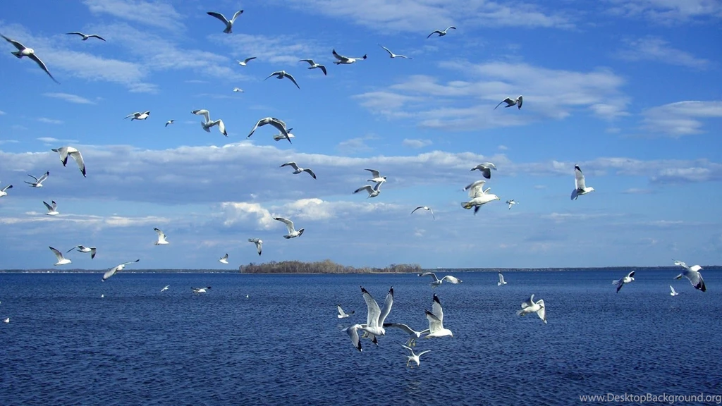 Landscapes Nature Wallpapers,Beautiful Nature Green Wallpapers ...