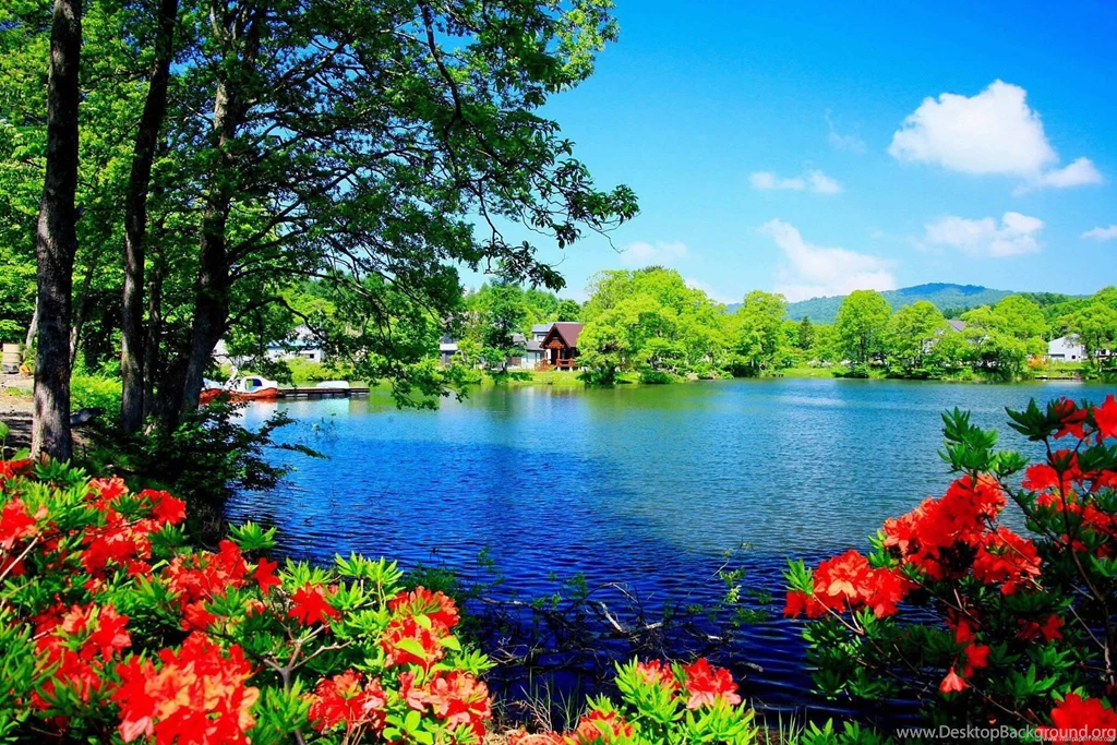 Nature Beauty Full Size Wallpaper, Size: 1920x1280