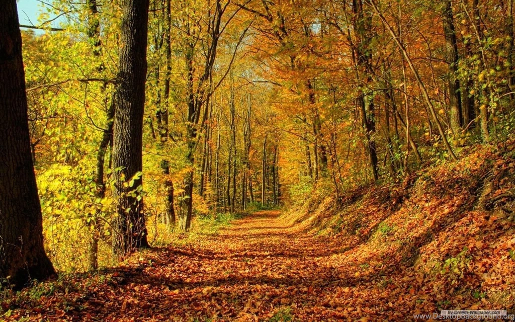 Free Wallpapers Free Nature Wallpapers HD Landscape 2 Wallpapers ...